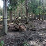 phoca_thumb_m_vp 2.den 16 Fotogalerie